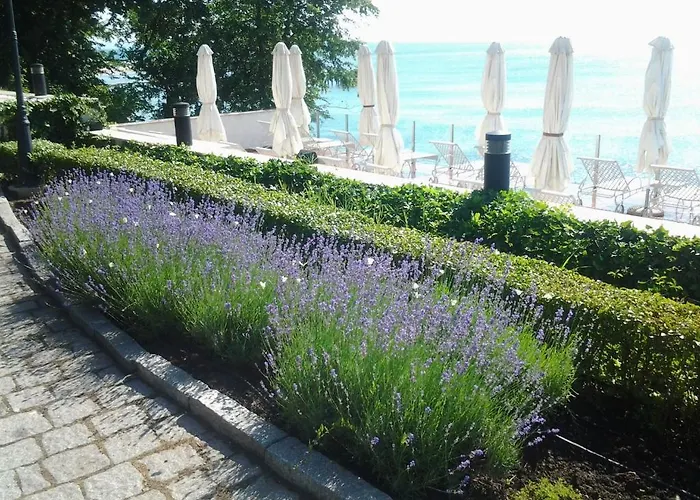 Oasis Boutique Hotel, Riviera Club Hotel 5*